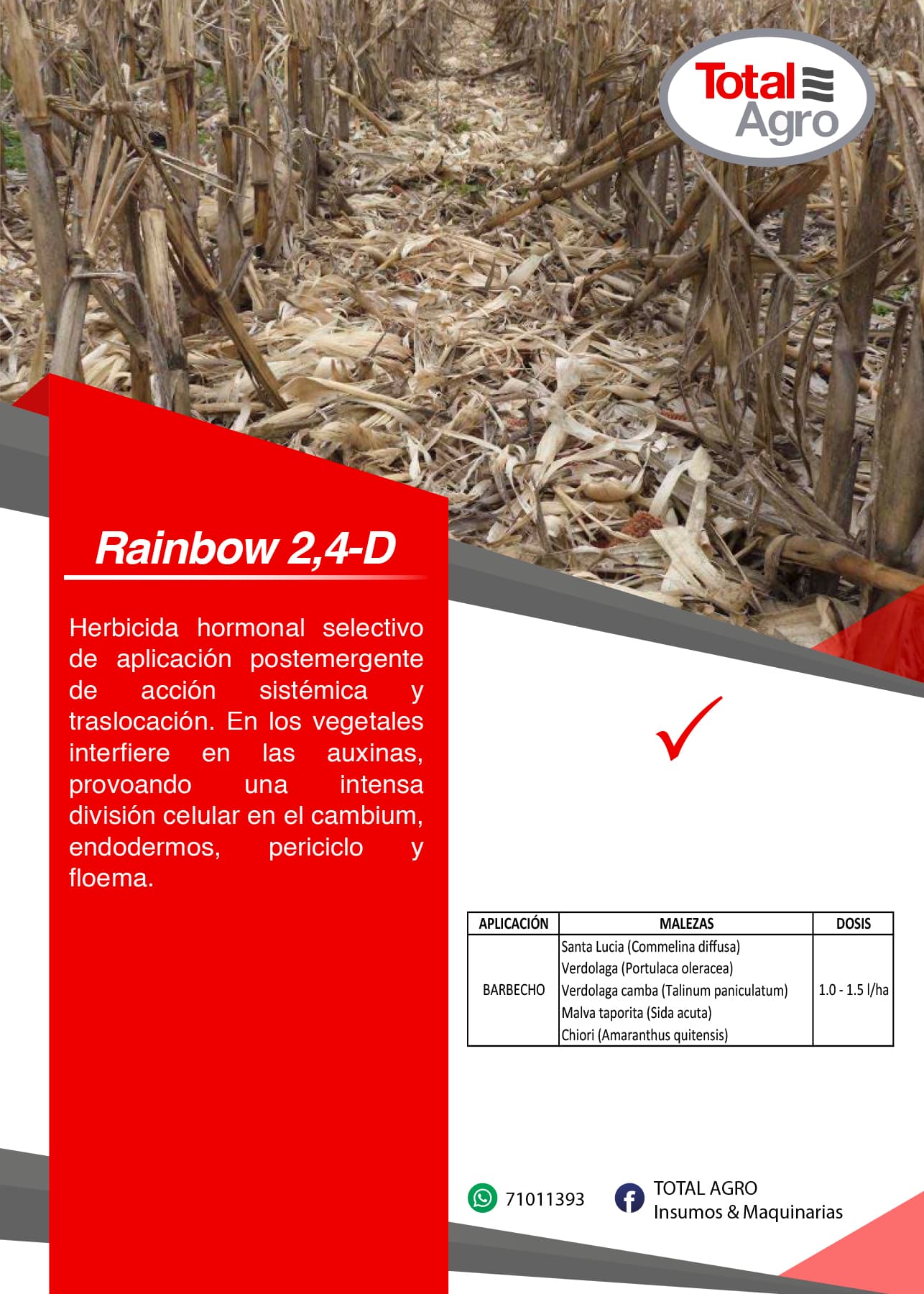 RAINBOW 2,4-D